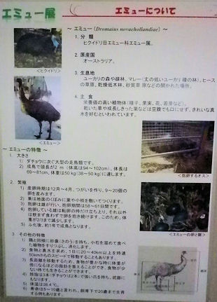 0607_笑友概要.jpg