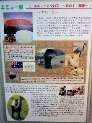 0607_笑友その歴史.jpg