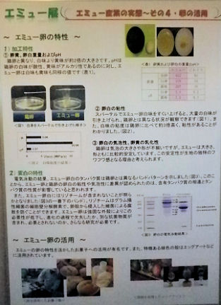 0607_笑友の産業化その４.jpg