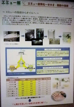 0607_笑友の産業化その２.jpg