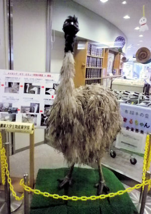 0607_笑友成鳥.jpg