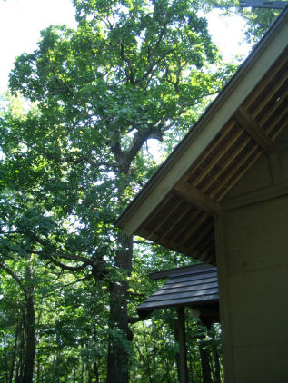 CIMG9271.JPG