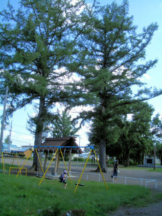 CIMG9415.JPG