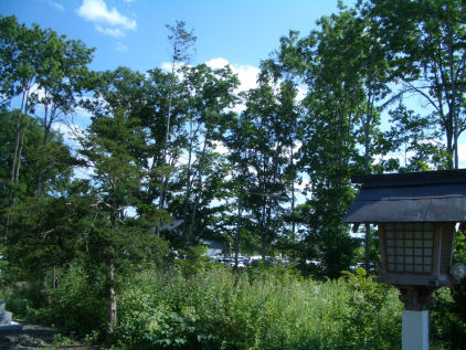 CIMG9423.JPG