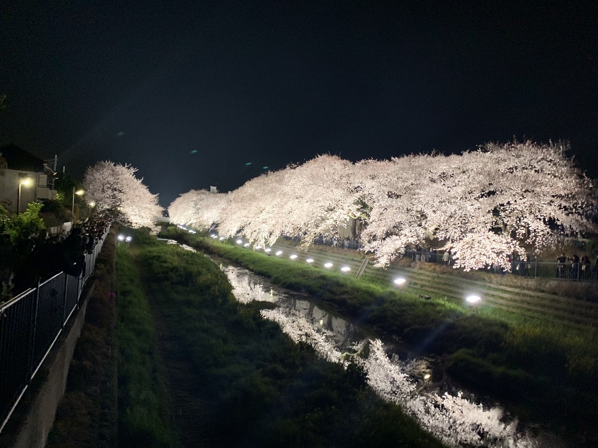 f:id:hot_rhodium:20190405220218j:plain