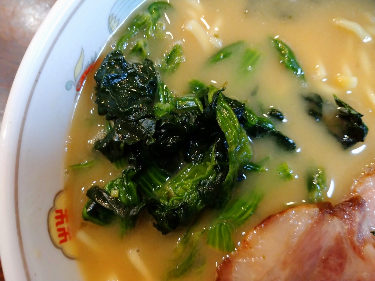 f:id:hotakaramen:20210618230126j:plain