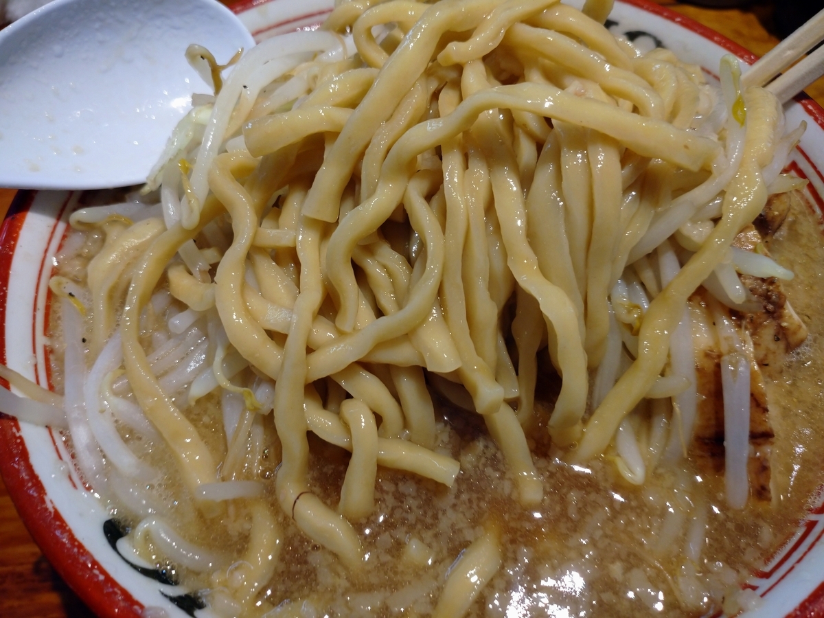 f:id:hotakaramen:20210808071940j:plain