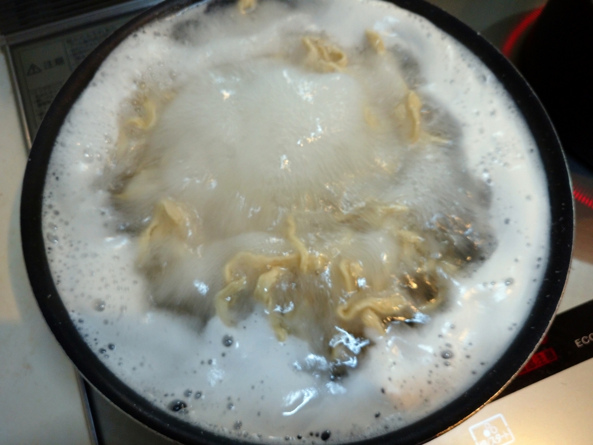 f:id:hotakaramen:20210825225703j:plain