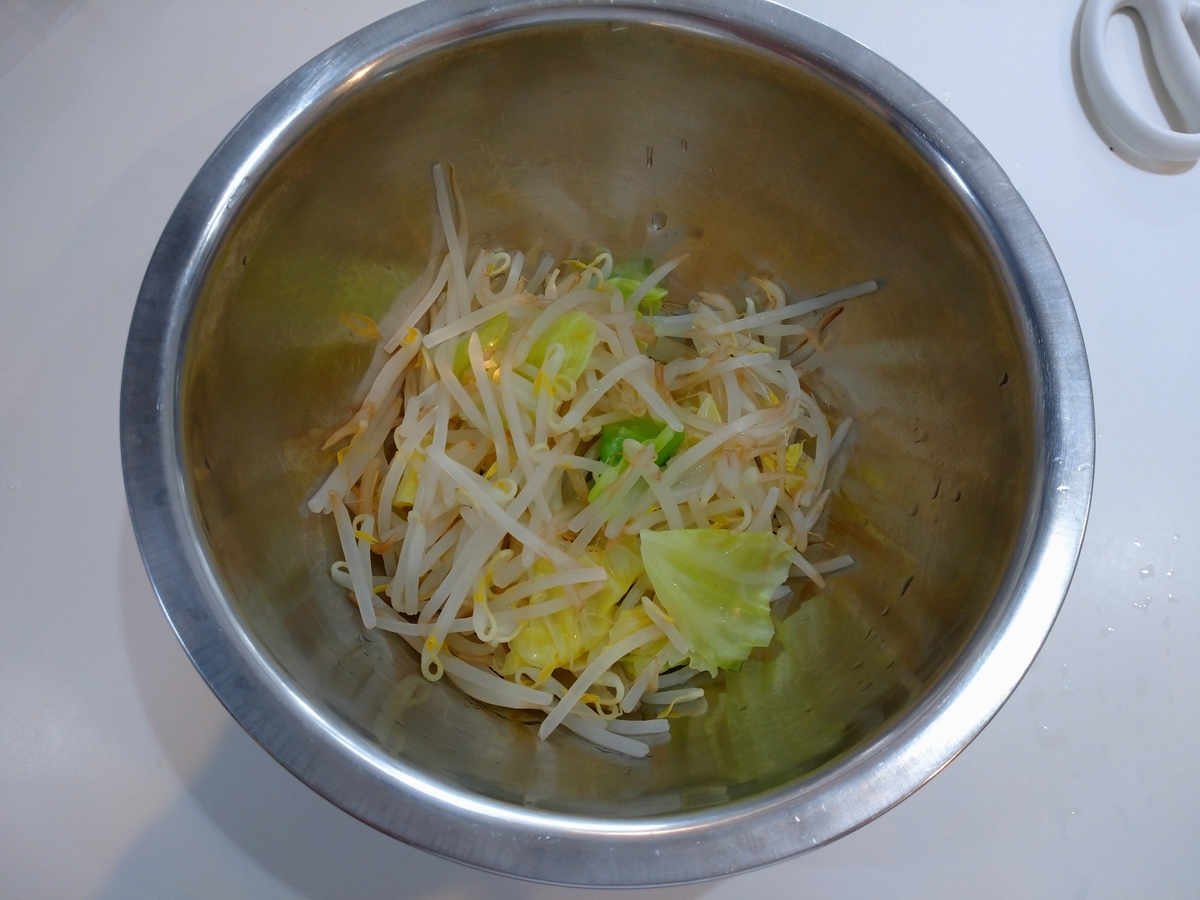 f:id:hotakaramen:20220219234854j:plain