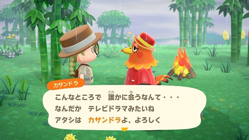 【あつ森】ニワトリのカサンドラ