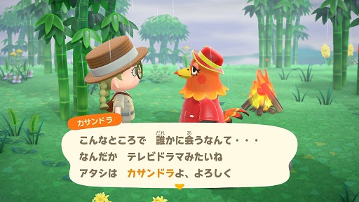 カサンドラ あつ 森 【あつ森】オレ系とアタシ系のリアクション反応してくれるor反応が薄い住人まとめ【すごい】