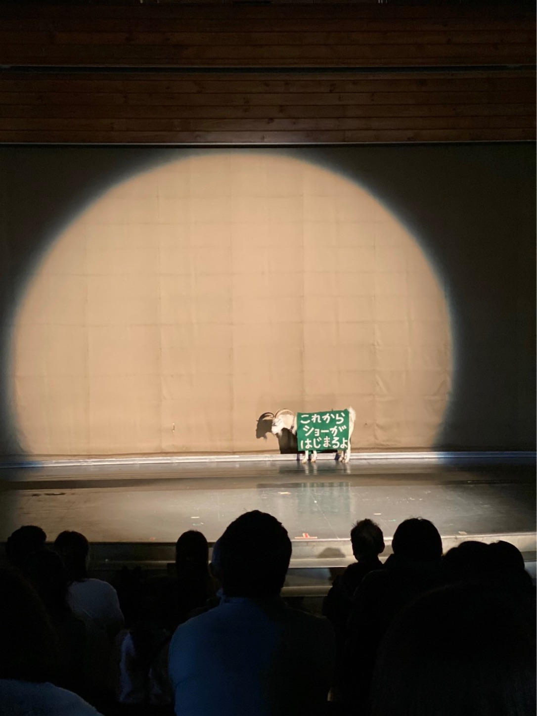 f:id:hotaru_spitz:20191124210212j:image