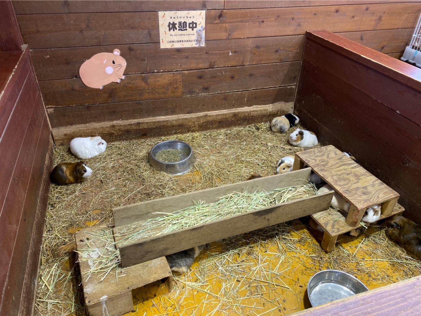 f:id:hotaru_spitz:20191124210220j:image