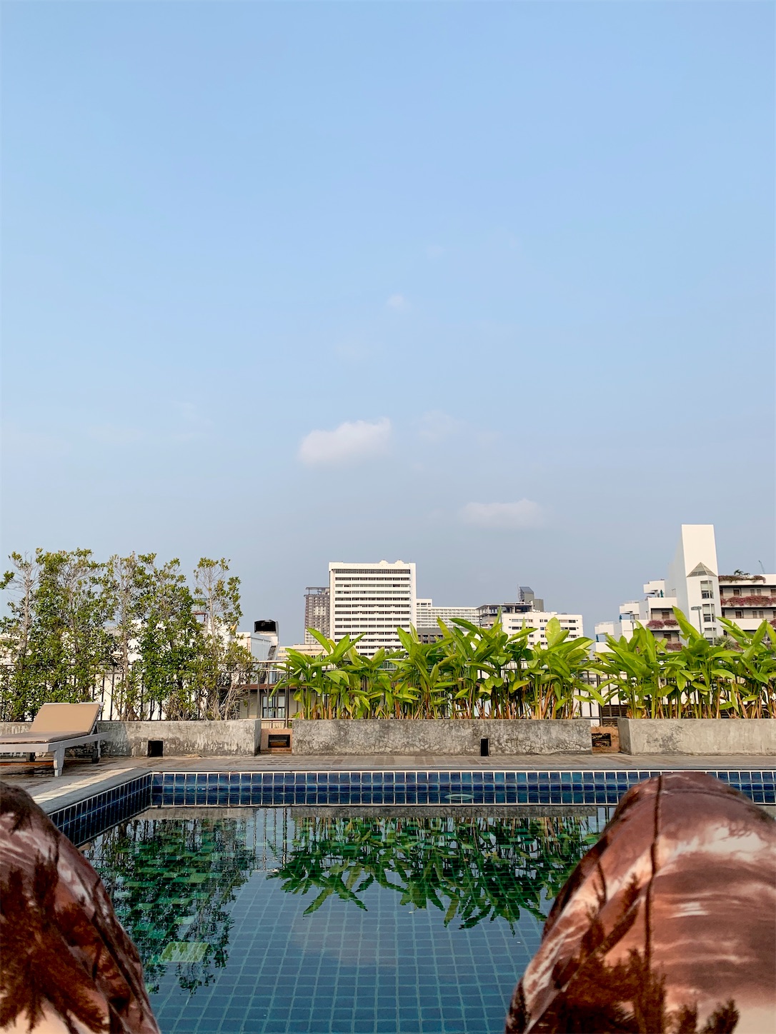 f:id:hotaru_spitz:20191228105813j:image