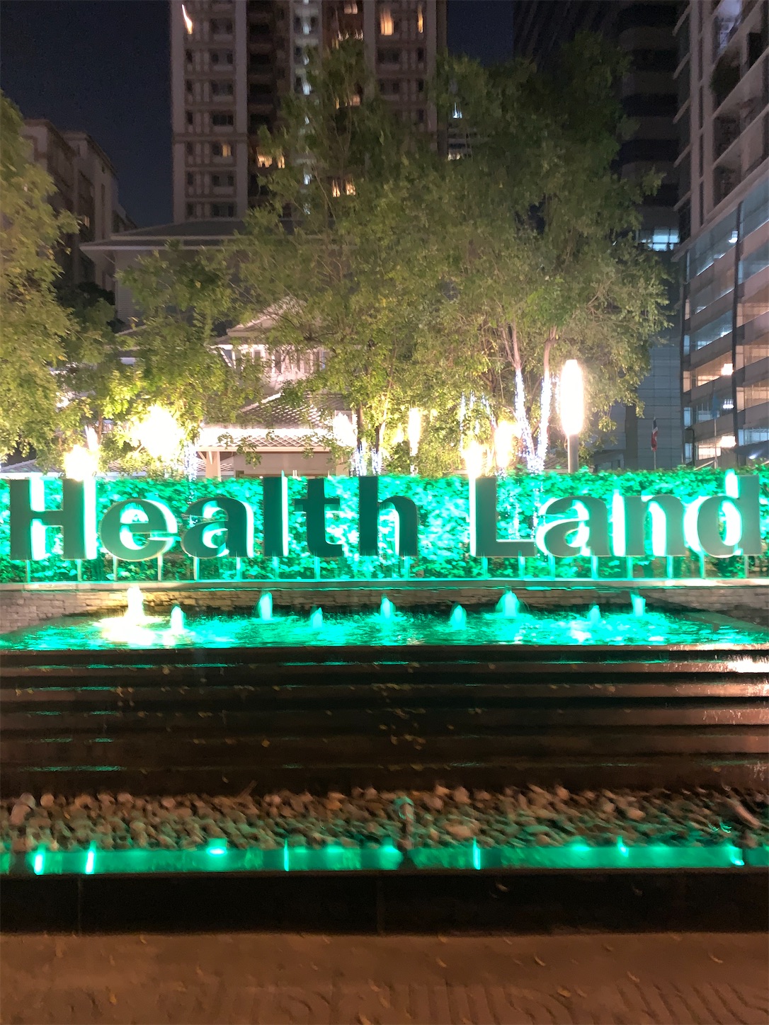 f:id:hotaru_spitz:20200102113113j:image f:id:hotaru_spitz:20200102113113j:image