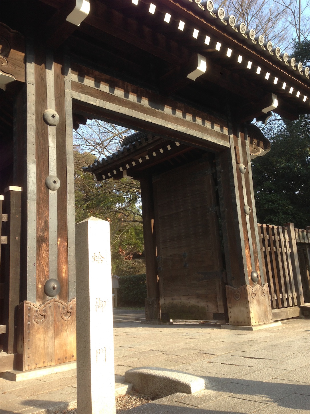 f:id:hotaru_spitz:20200220231042j:image