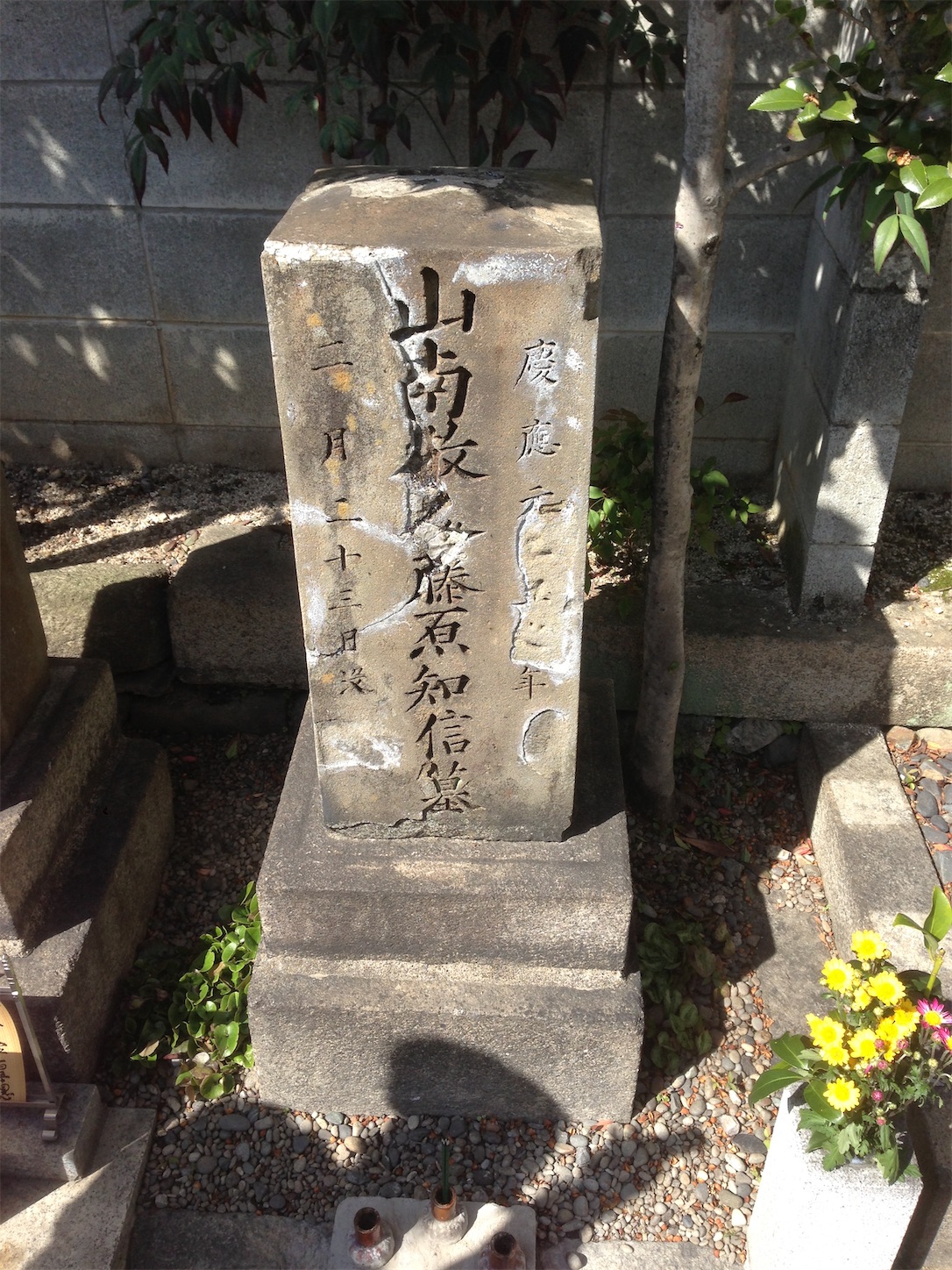 f:id:hotaru_spitz:20200220231054j:image