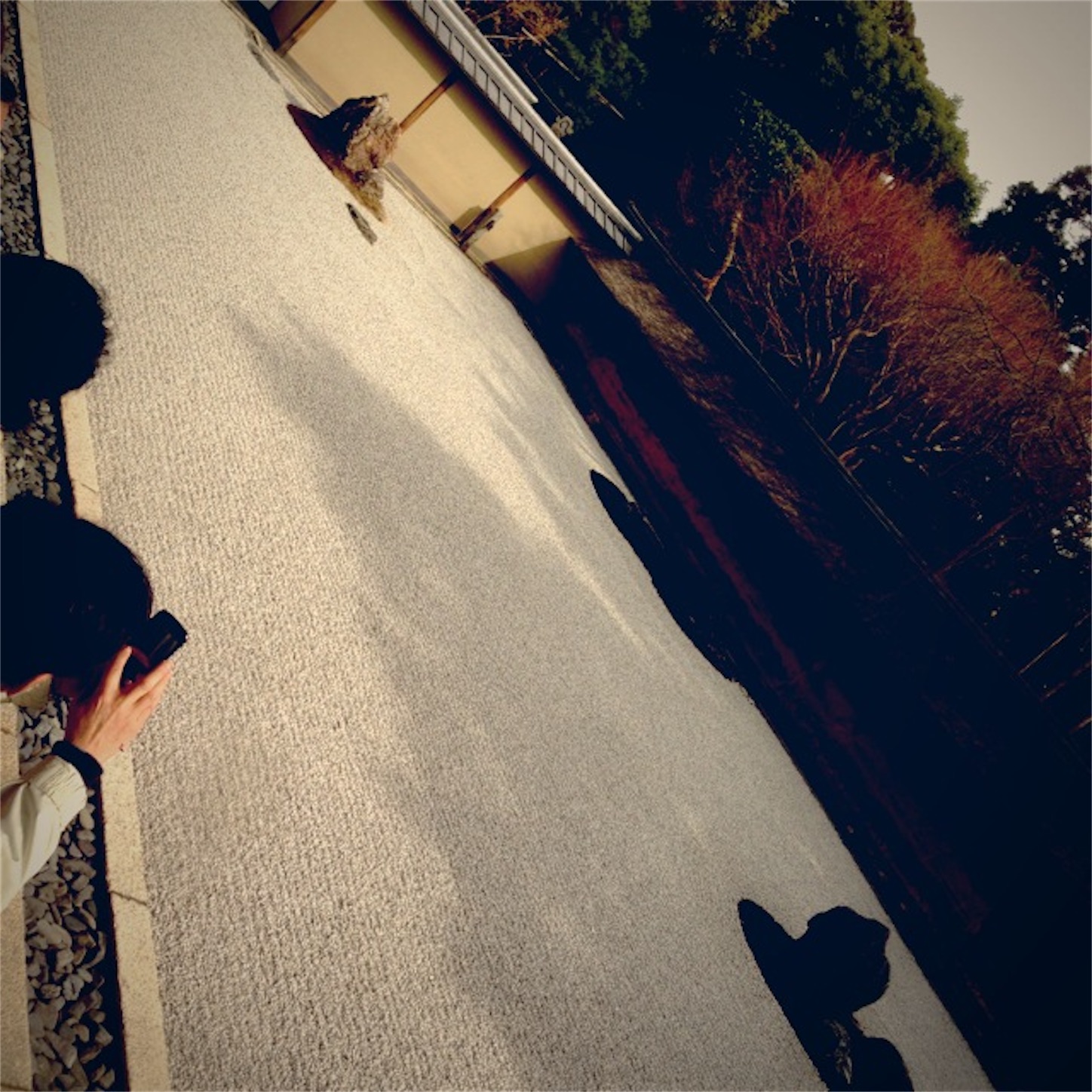 f:id:hotaru_spitz:20200220231059j:image