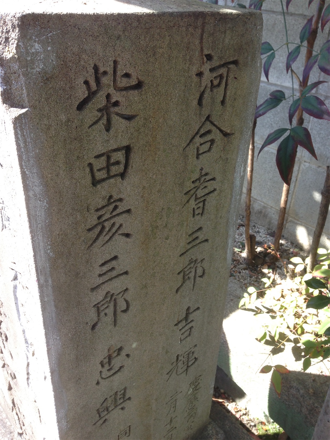 f:id:hotaru_spitz:20200220231108j:image