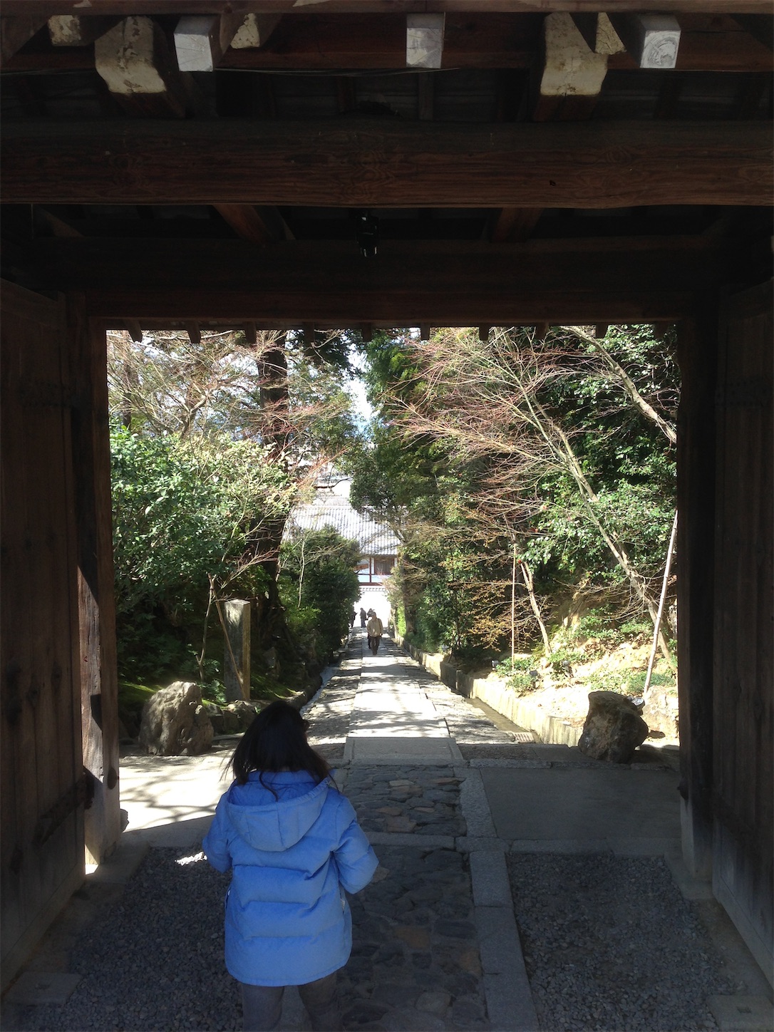 f:id:hotaru_spitz:20200220231121j:image