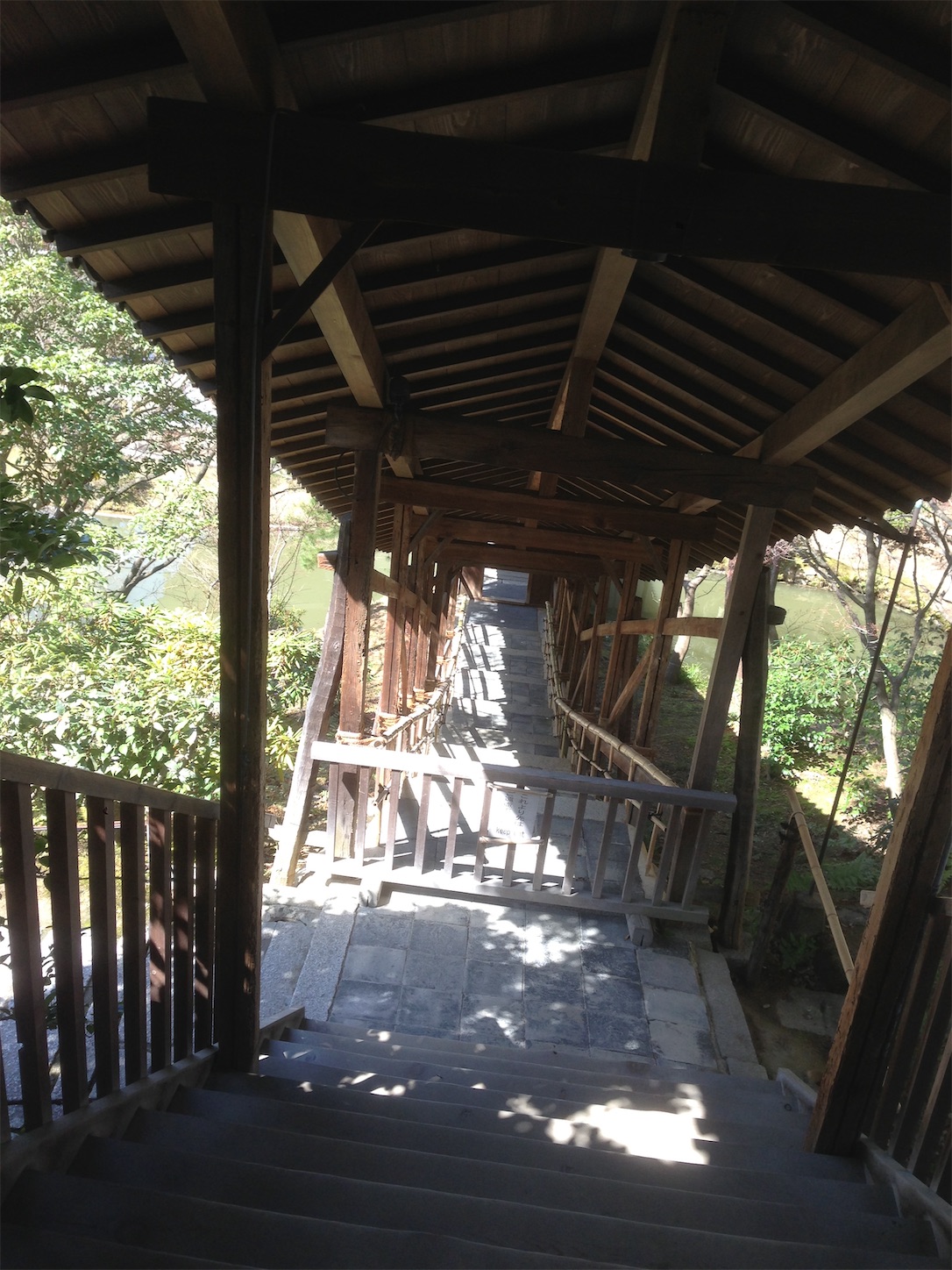f:id:hotaru_spitz:20200220231137j:image