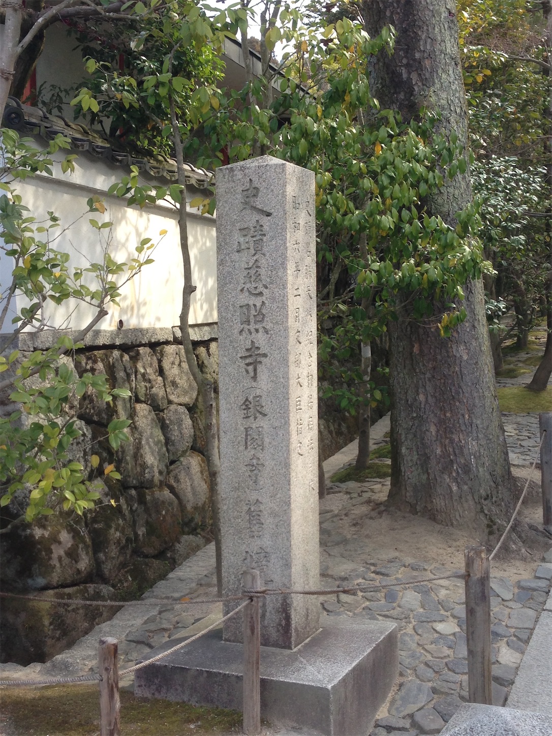 f:id:hotaru_spitz:20200220231155j:image