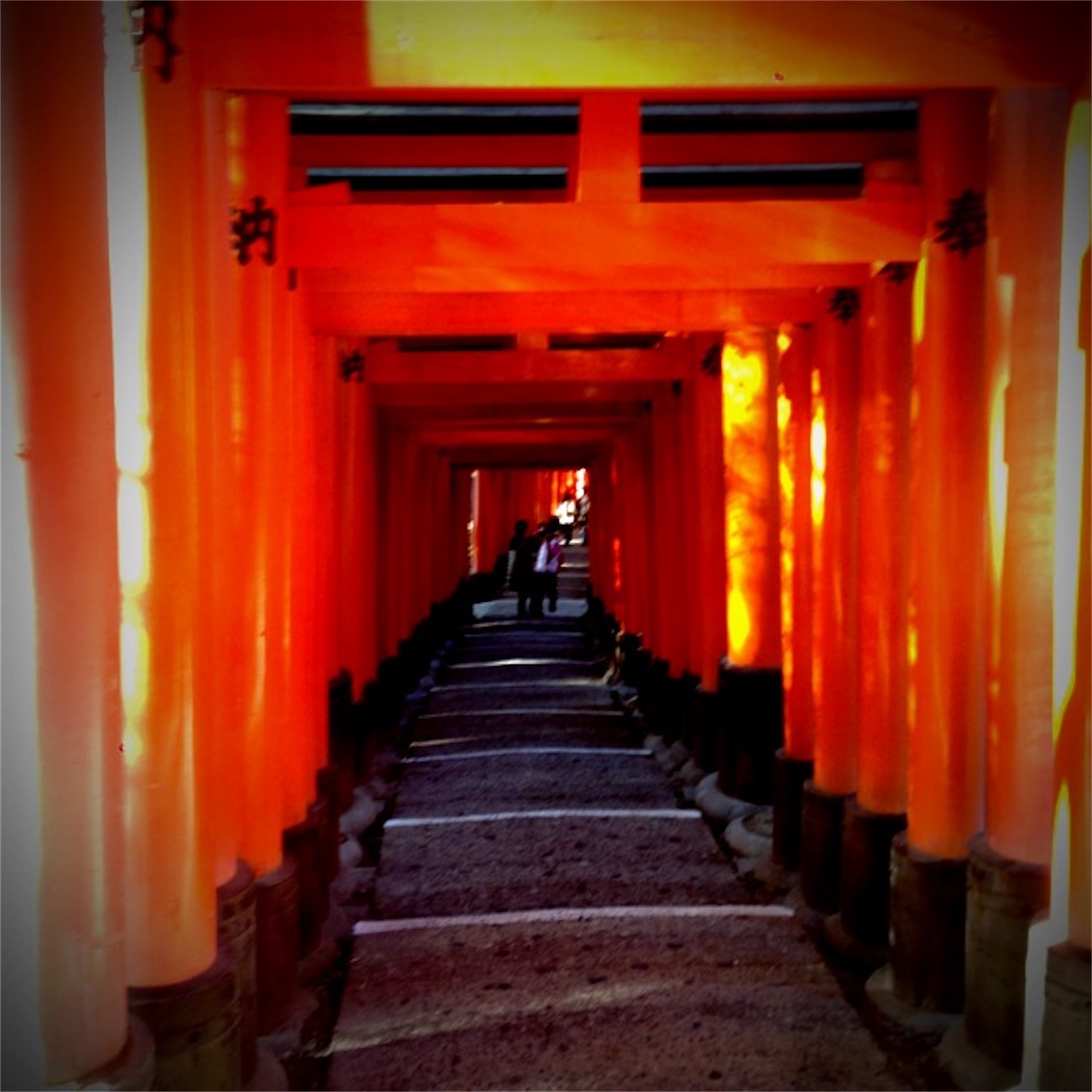 f:id:hotaru_spitz:20200220231158j:image
