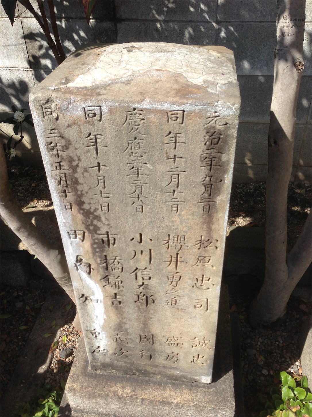 f:id:hotaru_spitz:20200220231218j:image