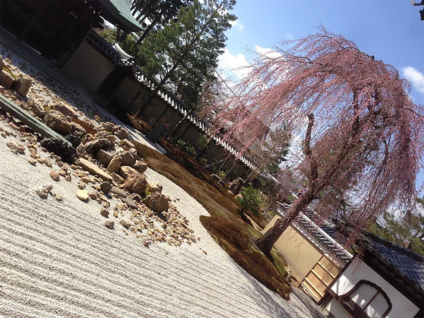 f:id:hotaru_spitz:20200220231307j:image