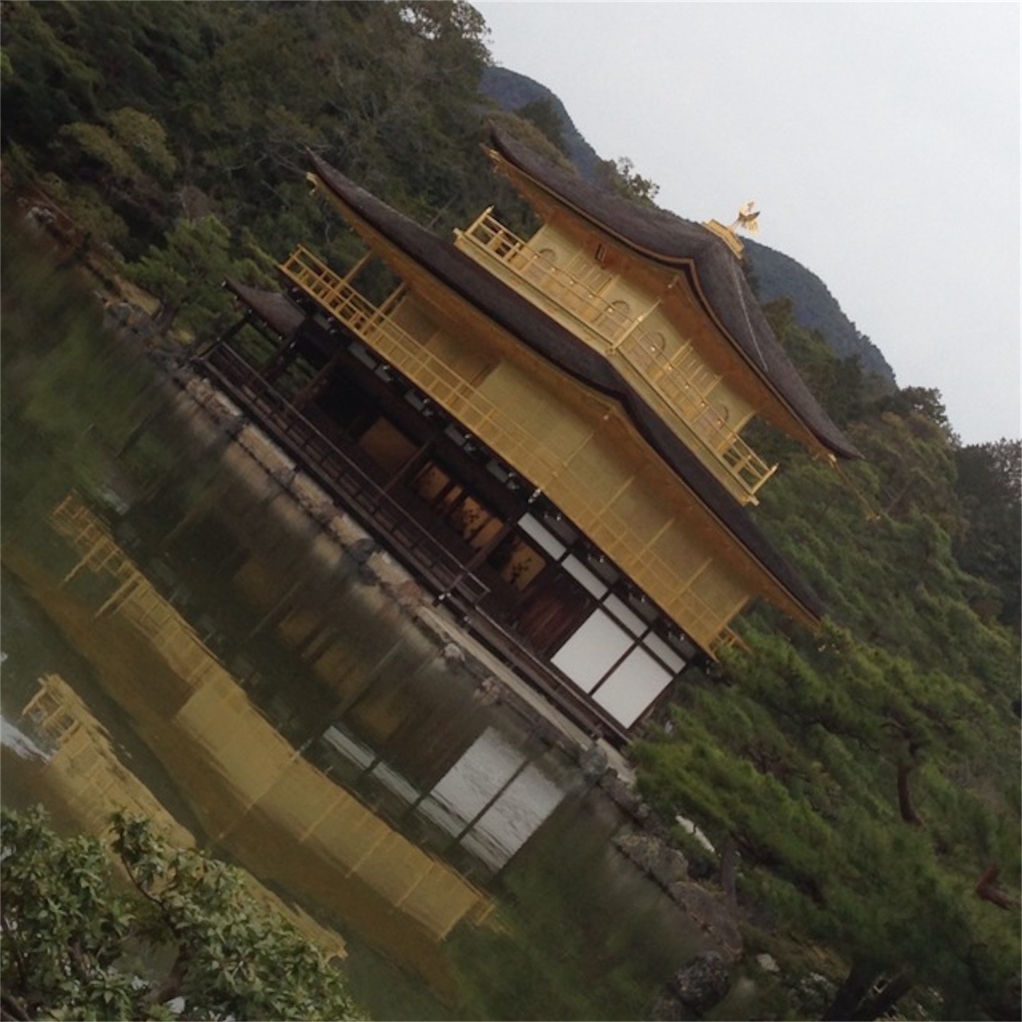 f:id:hotaru_spitz:20200220231315j:image