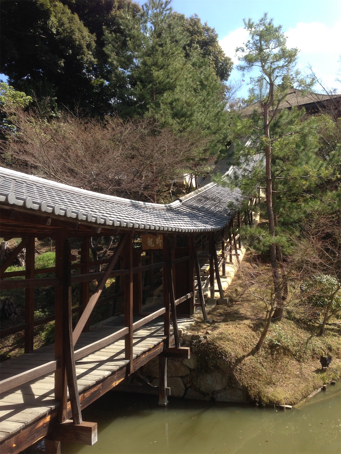 f:id:hotaru_spitz:20200220231426j:image