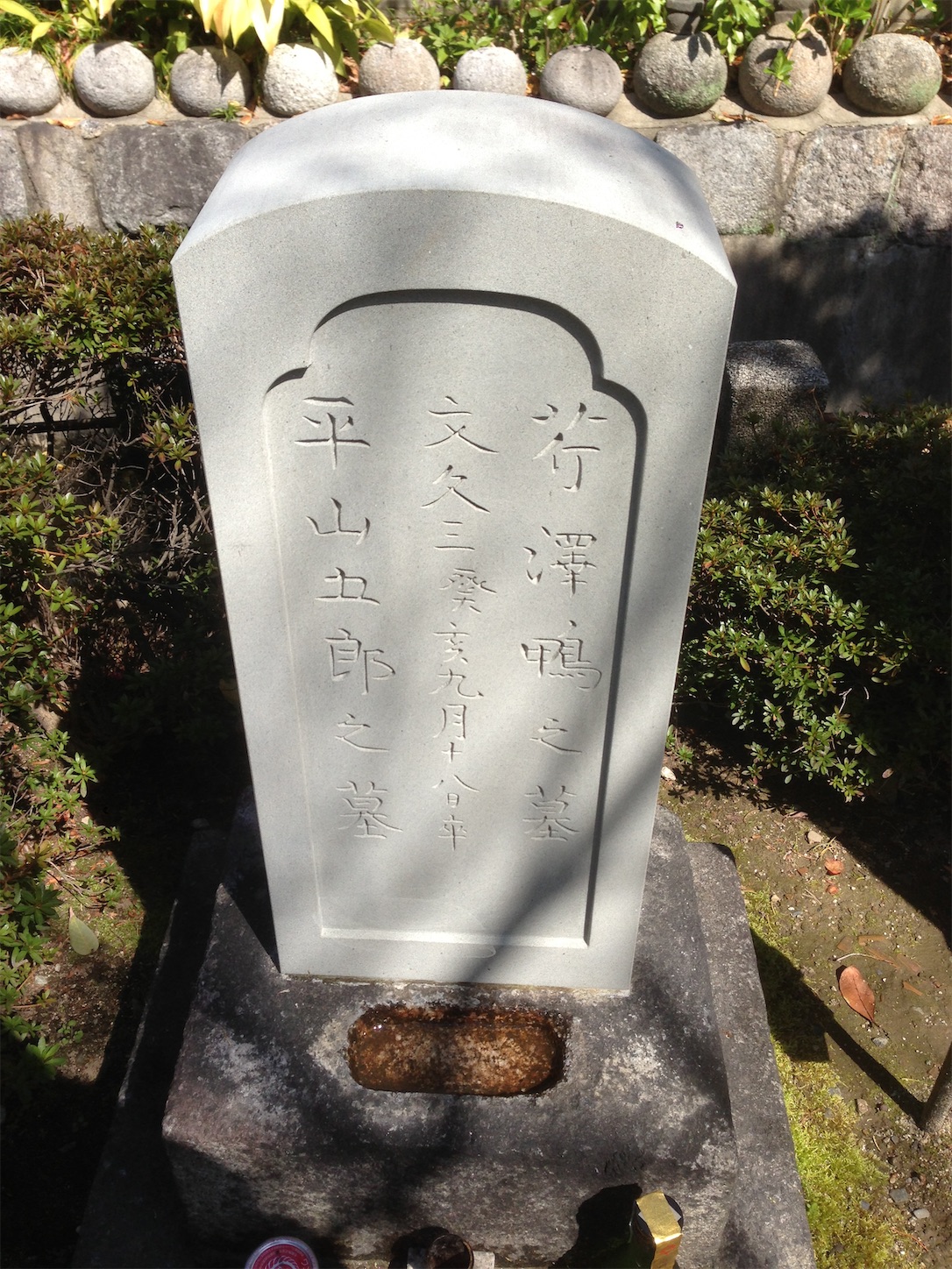 f:id:hotaru_spitz:20200220231507j:image