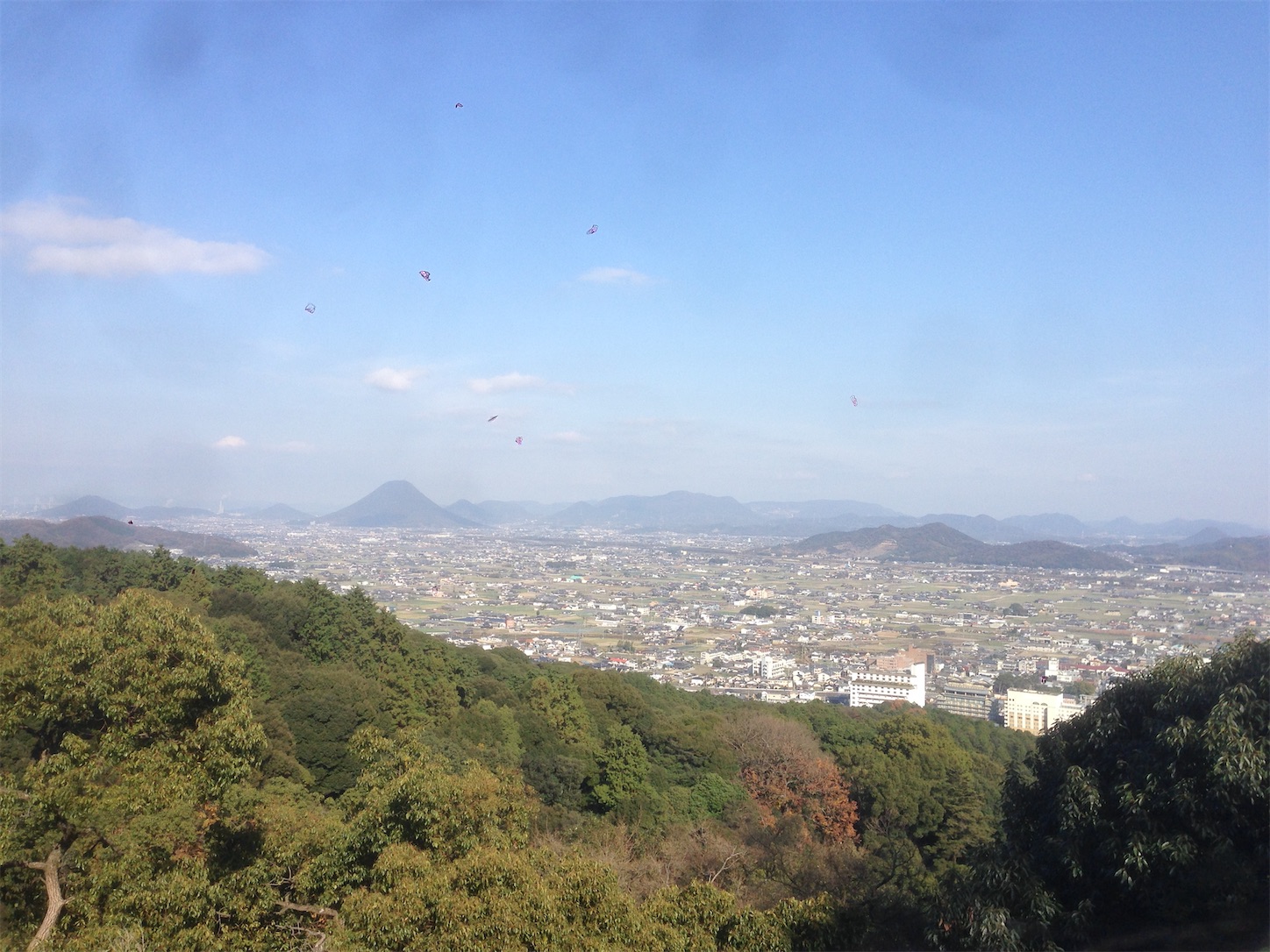 f:id:hotaru_spitz:20200220234226j:image f:id:hotaru_spitz:20200220234226j:image