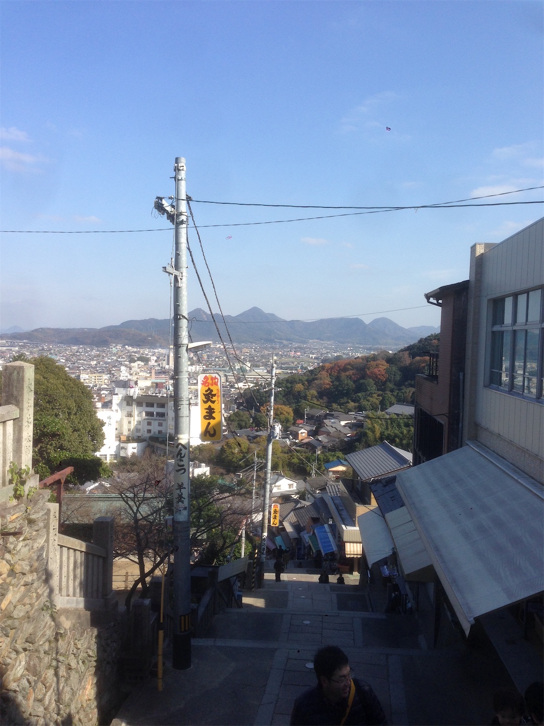 f:id:hotaru_spitz:20200220234240j:image f:id:hotaru_spitz:20200220234240j:image