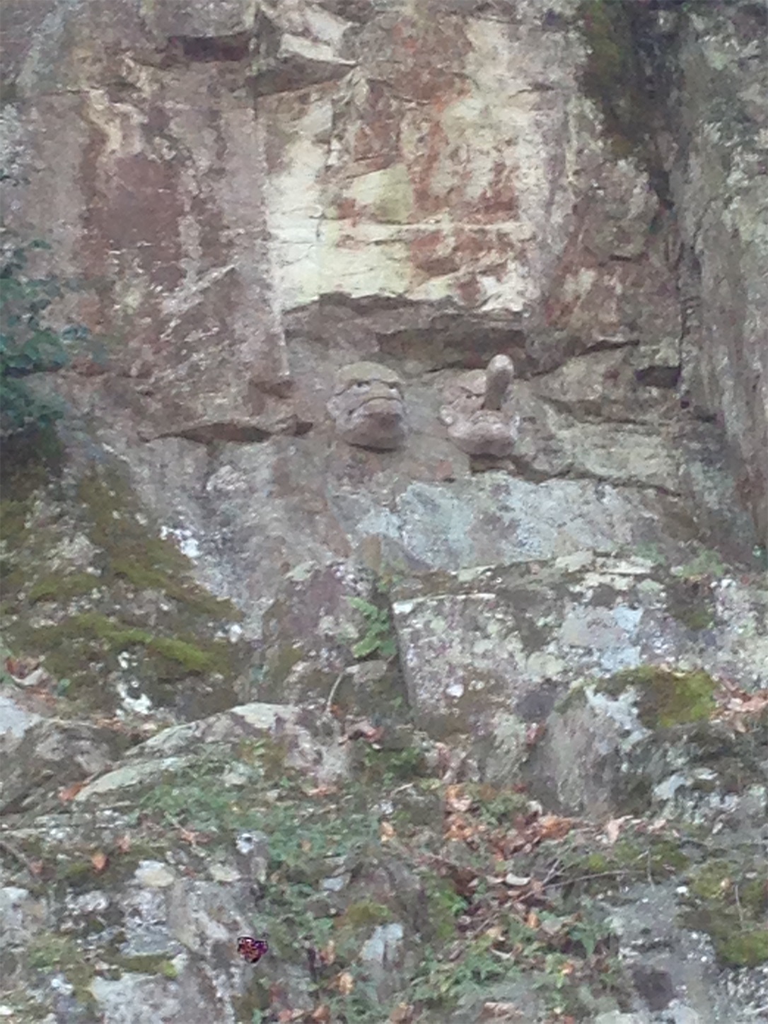 f:id:hotaru_spitz:20200220234247j:image f:id:hotaru_spitz:20200220234247j:image