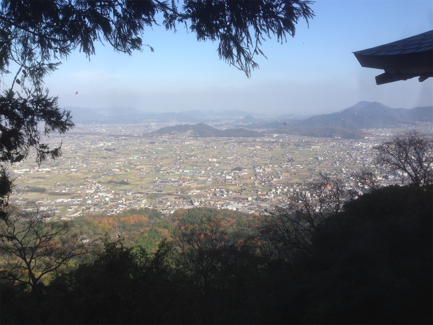 f:id:hotaru_spitz:20200220234251j:image f:id:hotaru_spitz:20200220234251j:image