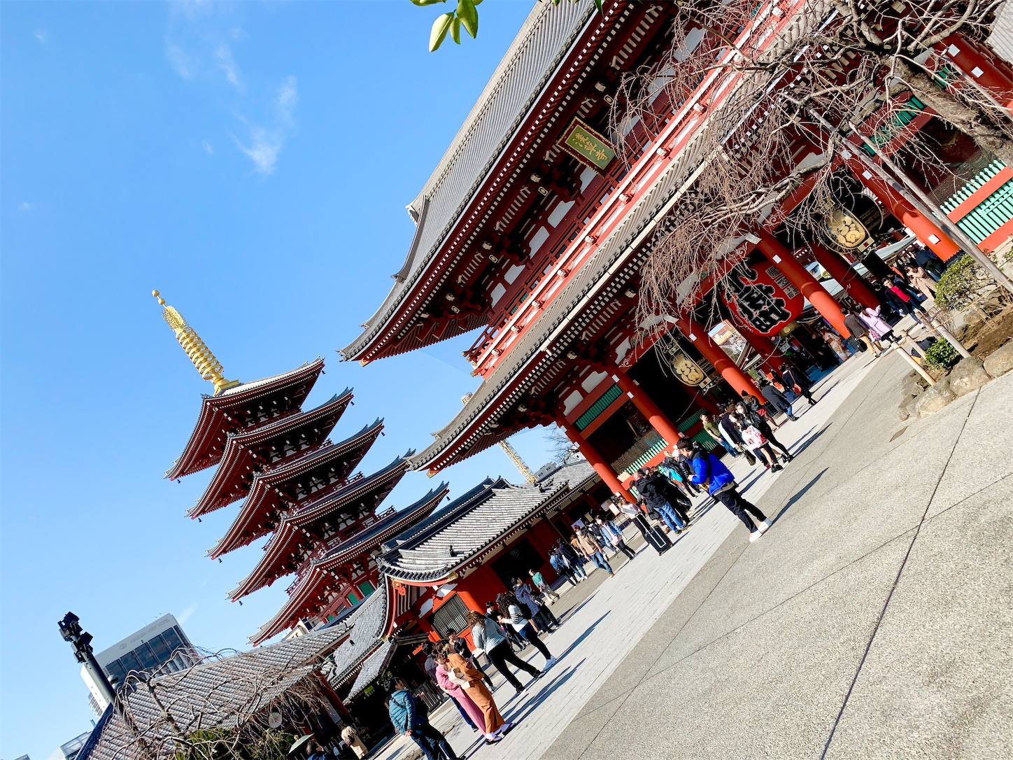 f:id:hotaru_spitz:20200302091941j:image