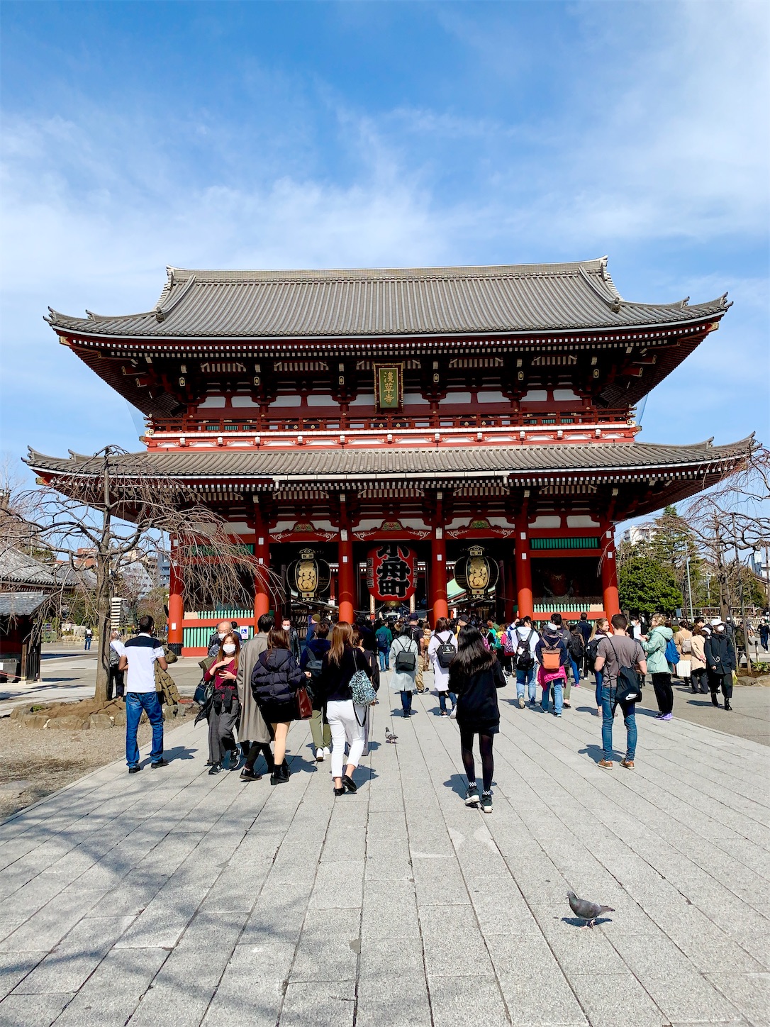 f:id:hotaru_spitz:20200302091950j:image