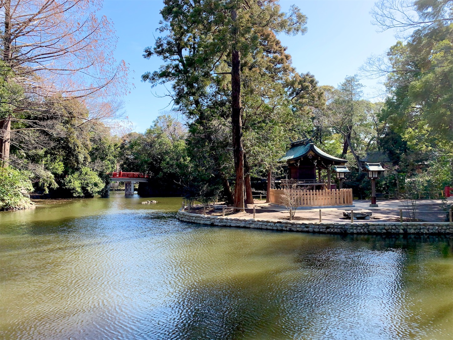 f:id:hotaru_spitz:20200304132428j:image f:id:hotaru_spitz:20200304132428j:image