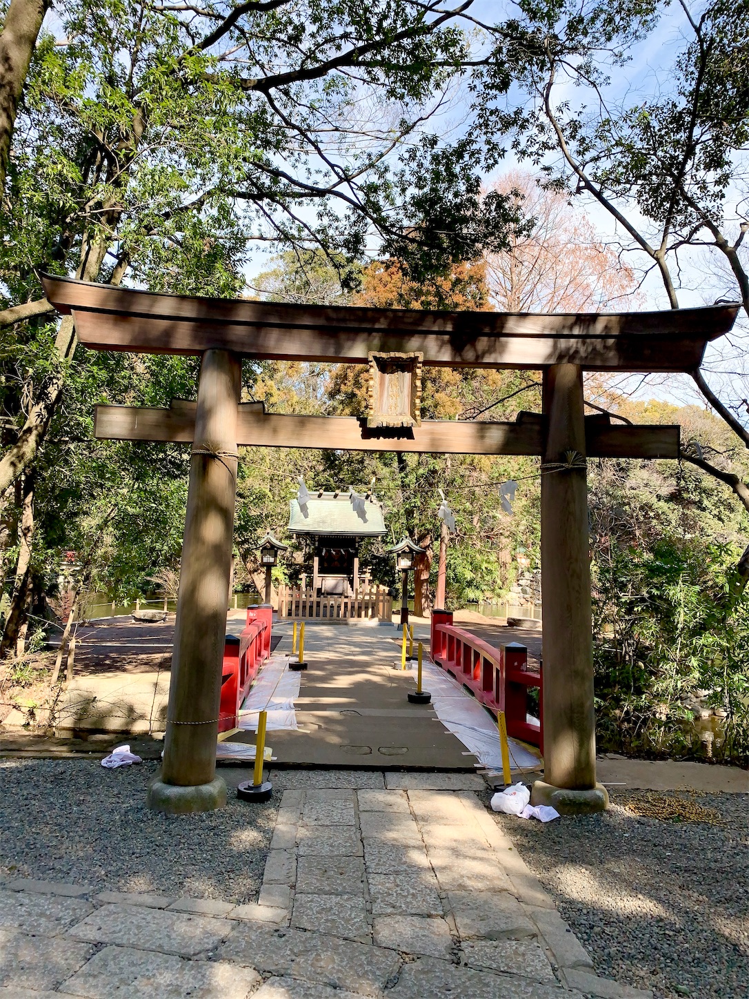 f:id:hotaru_spitz:20200304132457j:image f:id:hotaru_spitz:20200304132457j:image