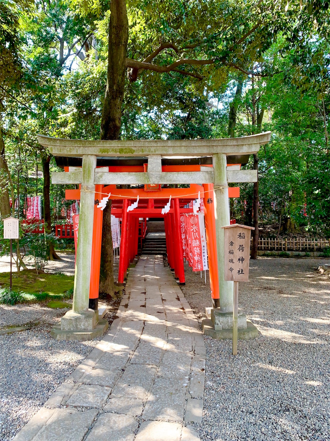 f:id:hotaru_spitz:20200304132549j:image f:id:hotaru_spitz:20200304132549j:image