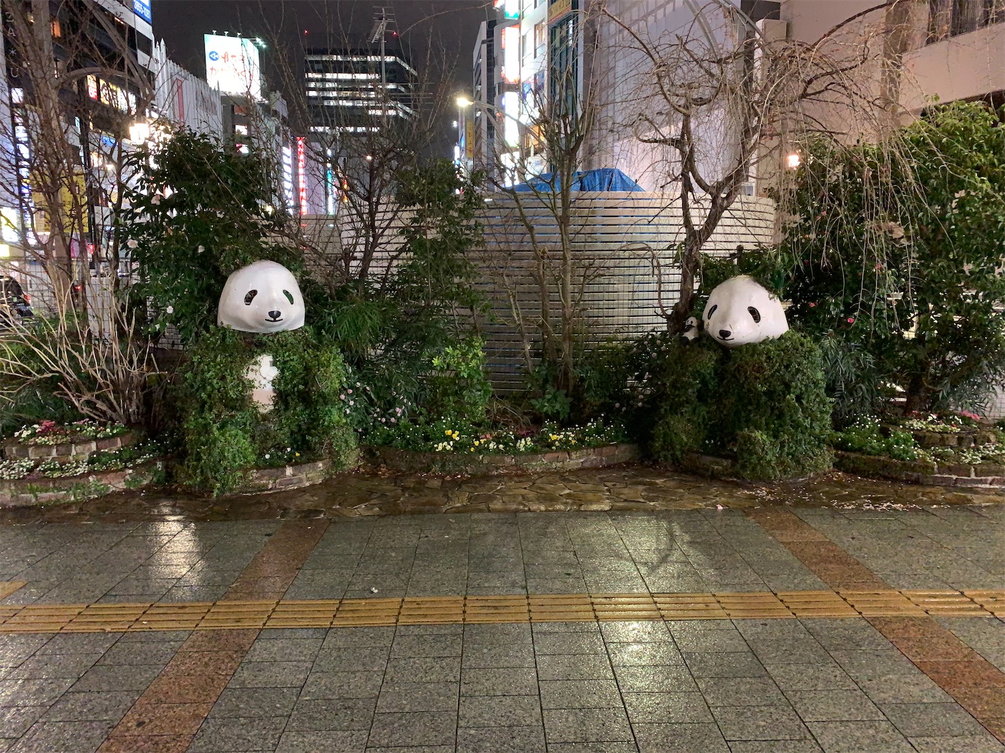 f:id:hotaru_spitz:20200304212409j:image