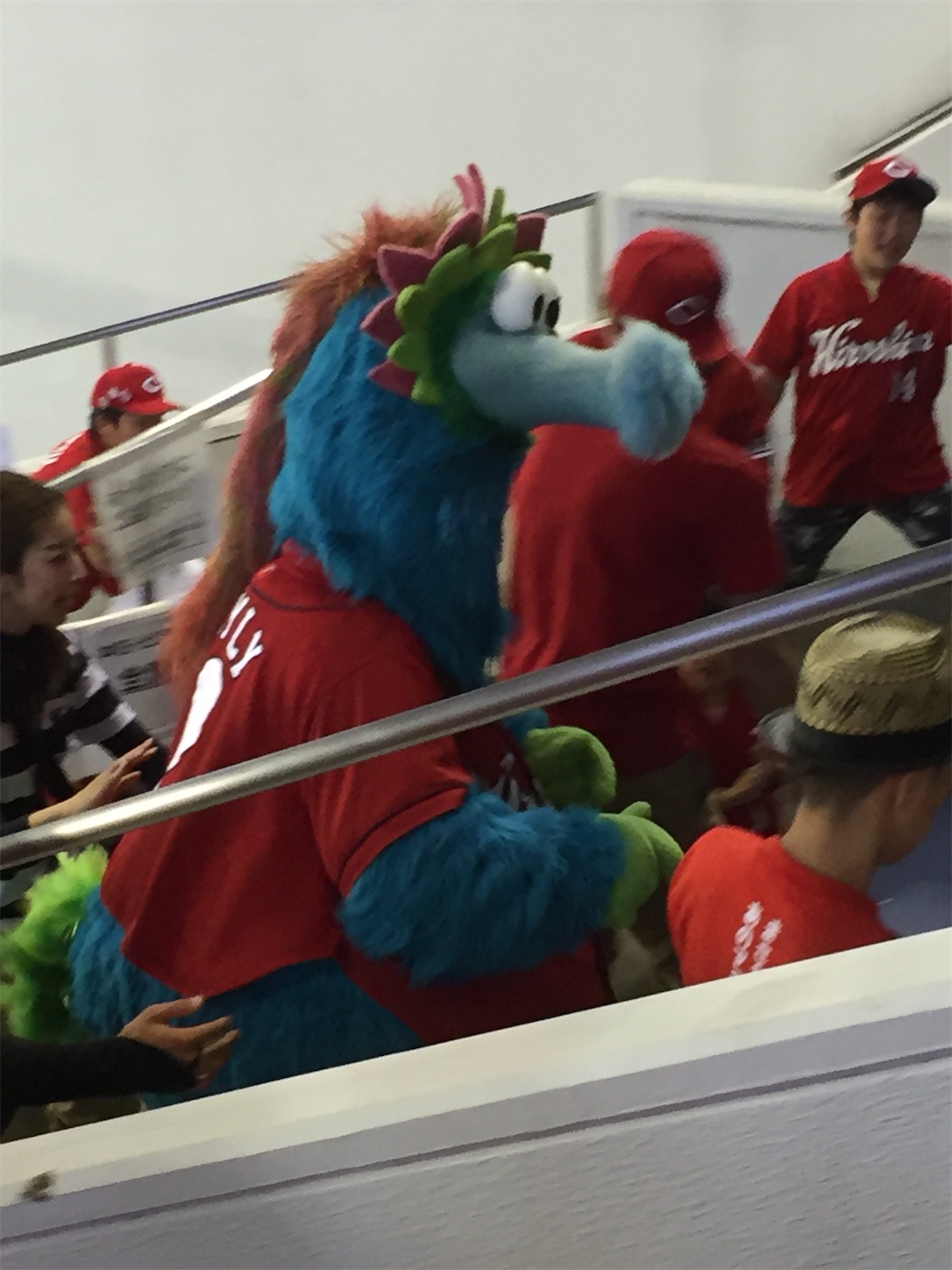 f:id:hotaru_spitz:20200306224659j:image f:id:hotaru_spitz:20200306224659j:image