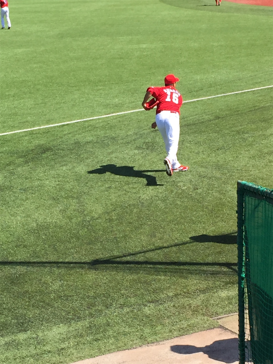 f:id:hotaru_spitz:20200306224720j:image f:id:hotaru_spitz:20200306224720j:image