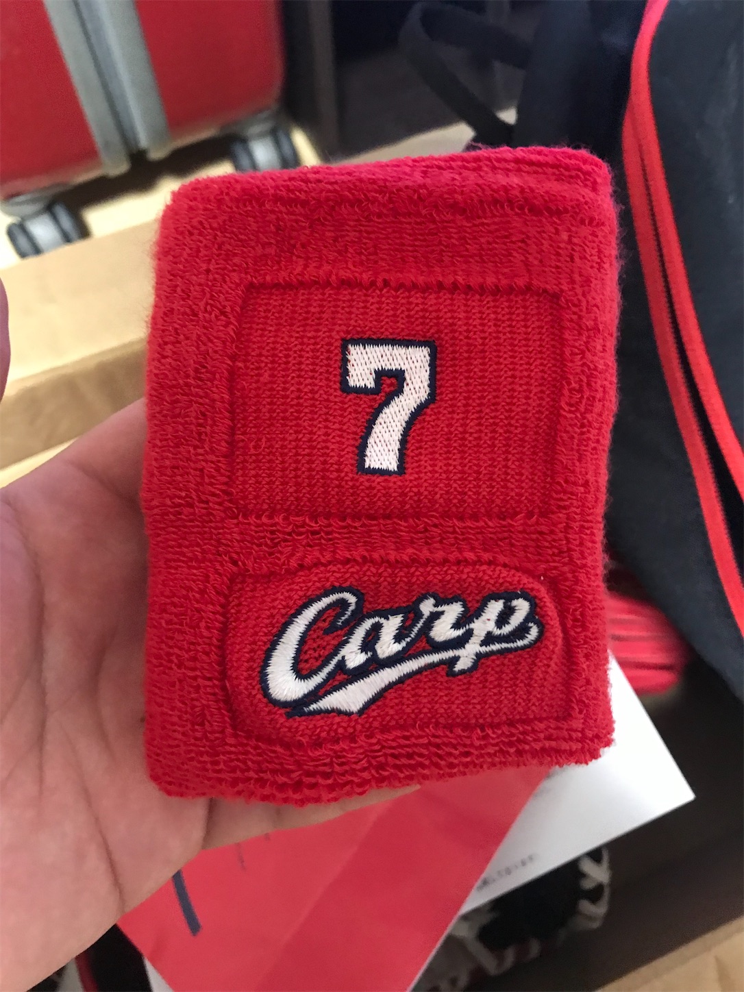 f:id:hotaru_spitz:20200306224835j:image f:id:hotaru_spitz:20200306224835j:image