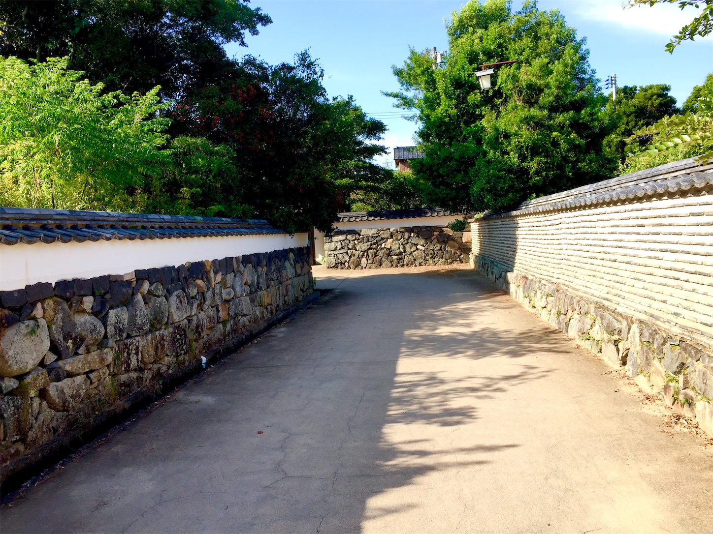 f:id:hotaru_spitz:20200404145847j:image