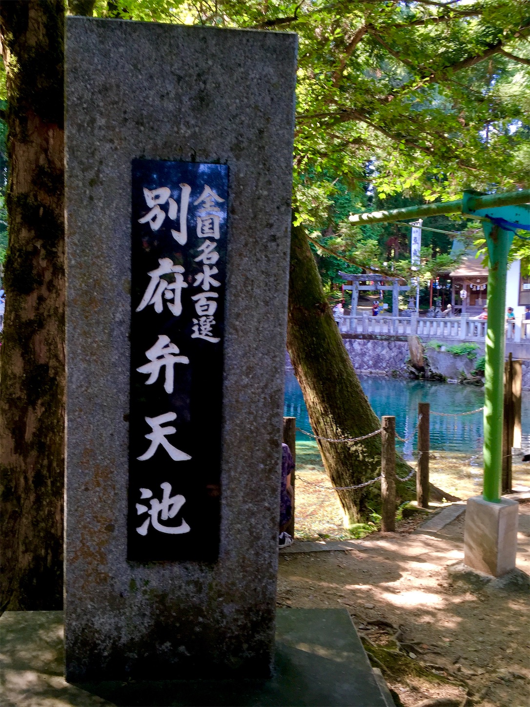 f:id:hotaru_spitz:20200404145902j:image