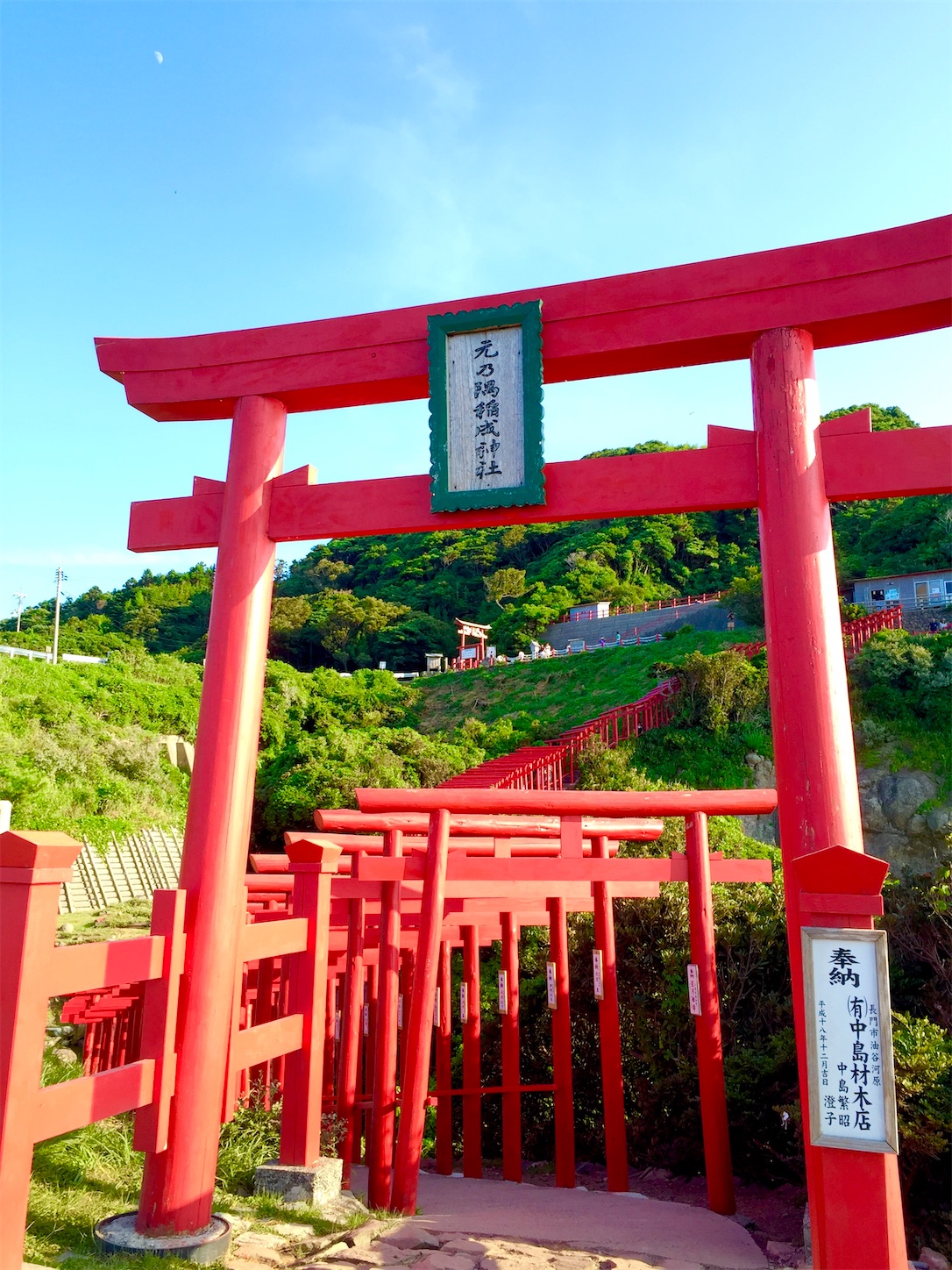 f:id:hotaru_spitz:20200404145916j:image