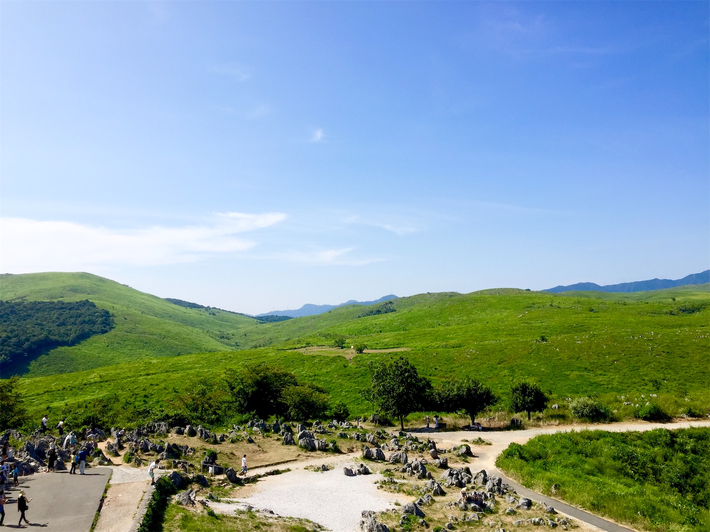 f:id:hotaru_spitz:20200404145924j:image