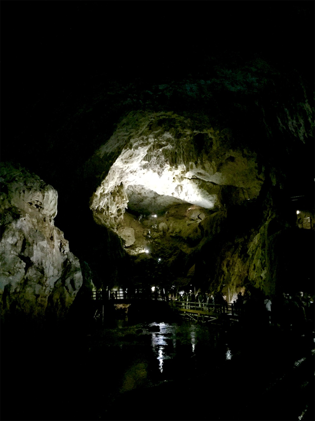 f:id:hotaru_spitz:20200404145931j:image